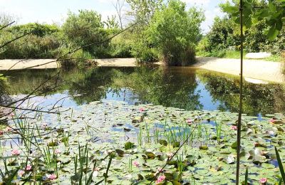 Dwór na sprzedaż Gémozac, Nouvelle-Aquitaine, Der Teich mit Sandstrand