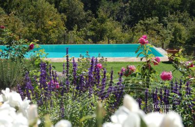 Dom na wsi na sprzedaż Gaiole in Chianti, Toskania, RIF 3003 Pool