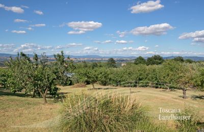 Dom na wsi na sprzedaż Sarteano, Toskania, RIF 3009 Panoramablick