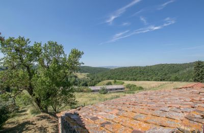 Dom na wsi na sprzedaż Asciano, Toskania, RIF 2982 Blick auf Landschaft