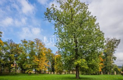 Pałac na sprzedaż Mirošov, Zámek Mirošov, Plzeňský kraj, Zdjęcie 23/30