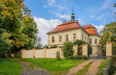 Pałac na sprzedaż Mirošov, Zámek Mirošov, Plzeňský kraj, Zdjęcie 26/30