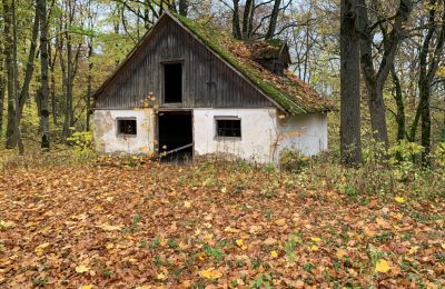 Dwór na sprzedaż Saulaine, Kaucmindes muiža, Semigalia, Oficyna