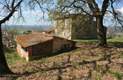 Dom wiejski na sprzedaż Siena, Toskania, RIF 3071 Blick auf Rustico