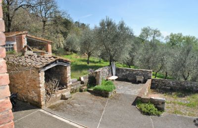 Dom wiejski na sprzedaż Siena, Toskania, RIF 3071 Terrasse