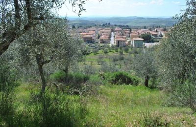 Dom wiejski na sprzedaż Siena, Toskania, RIF 3071 Ausblick