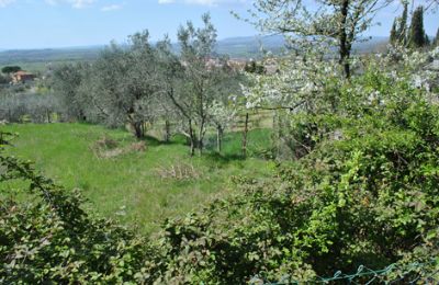 Dom wiejski na sprzedaż Siena, Toskania, RIF 3071 Garten