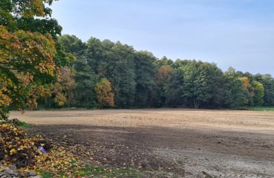 Dwór na sprzedaż Chojne, województwo łódzkie, Park