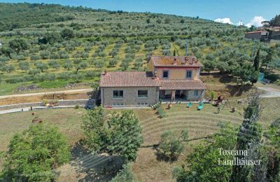 Wiejski dom na sprzedaż Cortona, Toskania, RIF 3085 Garten vor Haus