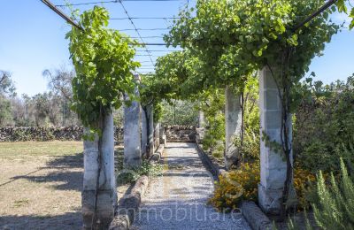 Zabytkowa willa na sprzedaż Oria, Apulia, Zdjęcie 29/34