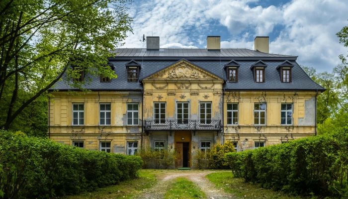 Pałac na sprzedaż Nakło, województwo śląskie,  Polska