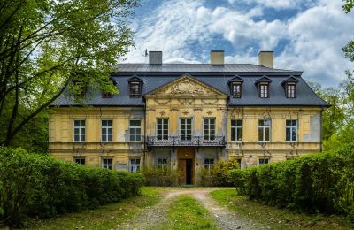 Posiadłości, Pałac w Nakle