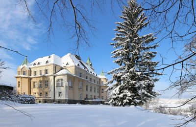 Pałac na sprzedaż Liberec, Liberecký kraj, Widok z tyłu