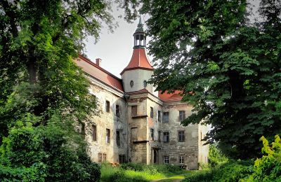 Zabytkowa nieruchomość na sprzedaż Domanice, województwo dolnośląskie, Wjazd