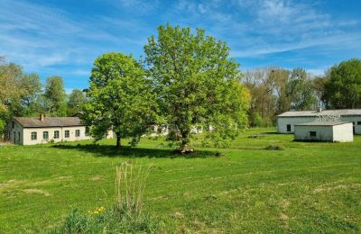 Dwór na sprzedaż 17337 Uckerland, Brandenburgia, Hof