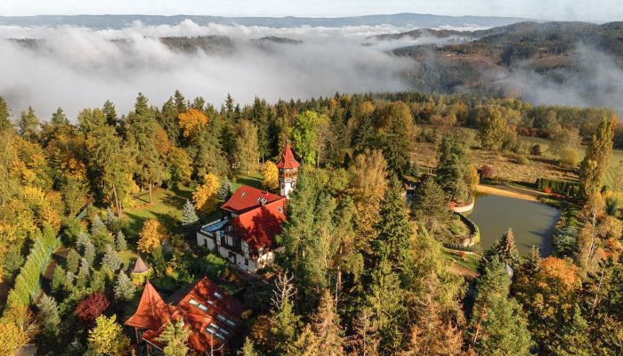 Pałac na sprzedaż Karlovy Vary, Karlovarský kraj,  Czechy