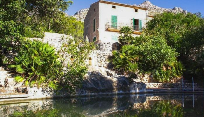 Dwór Mallorca, Serra de Tramuntana, Cala Sant Vicenç 2