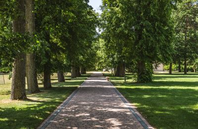 Pałac na sprzedaż 05-332 Żaków, województwo mazowieckie, Wjazd