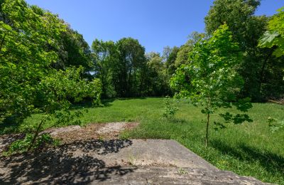 Dwór na sprzedaż Lubiatów, województwo łódzkie, Park