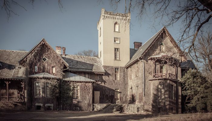 Pałac na sprzedaż Sośnie, województwo wielkopolskie,  Polska