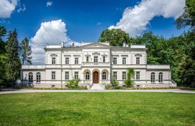 Nieruchomości, Historyczny Pałac Położony Na Terenie Parku