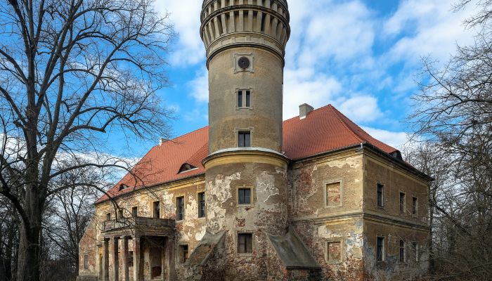 Pałac na sprzedaż Osetno, województwo dolnośląskie,  Polska