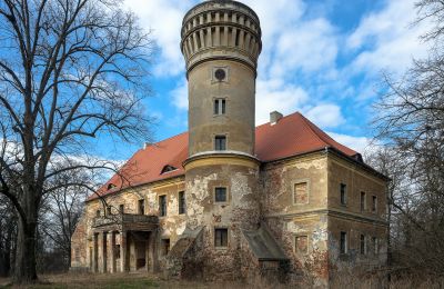 Posiadłości, Pałac w Osetnie na sprzedaż - Koncepcja hotelowa z planem projektu