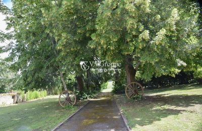 Dwór na sprzedaż Penne-d'Agenais, Nouvelle-Aquitaine, Park