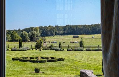 Pałac na sprzedaż Gisors, Normandia, Park