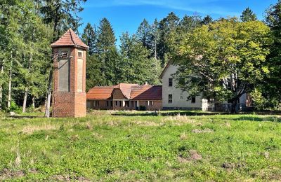 Wiejski dom na sprzedaż Zegrze Pomorskie, województwo zachodniopomorskie, Zdjęcie 6/7