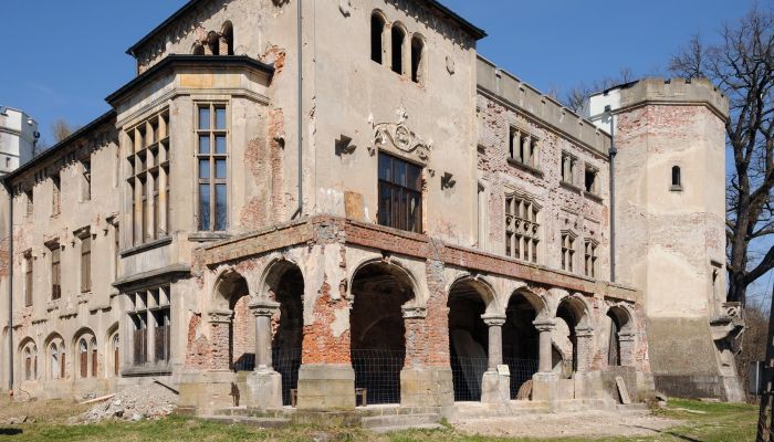 Zamek na sprzedaż Zagórzany, województwo małopolskie,  Polska