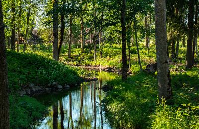 Dwór na sprzedaż Virķēni, virķēnu muiža, Vidzeme, Zdjęcie 9/17