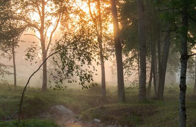 Dwór na sprzedaż Virķēni, virķēnu muiža, Vidzeme, Zdjęcie 10/17