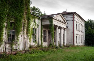 Pałac na sprzedaż Żegocin, województwo wielkopolskie,, Widok zewnętrzny