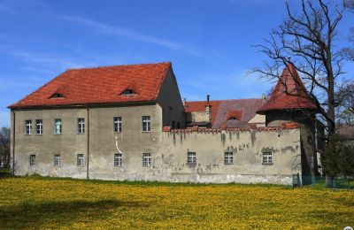 Posiadłości, Pałac Sandreckich w Bielawie