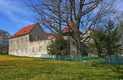 Pałac na sprzedaż Bielawa, Wolności 92, województwo dolnośląskie, Zdjęcie 4/7