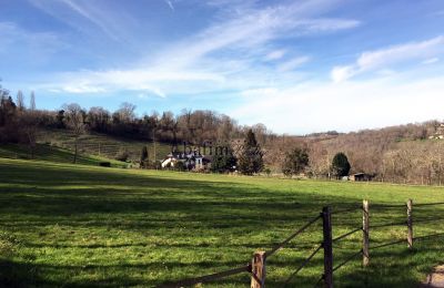 Dwór na sprzedaż Pau, Nouvelle-Aquitaine, Położenie nieruchomości