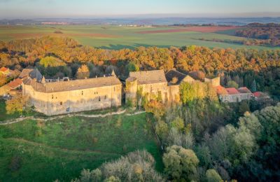 Pałac na sprzedaż Roussy-le-Bourg, Grand-Est, Położenie nieruchomości