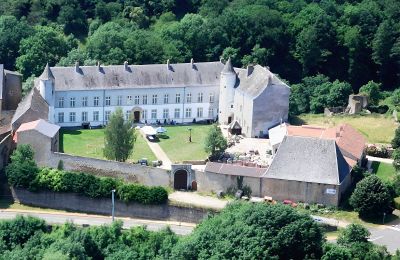 Pałac na sprzedaż Roussy-le-Bourg, Grand-Est, Château de Roussy-Comté