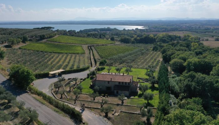 Dom wiejski Tuoro sul Trasimeno 2