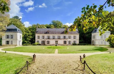 Pałac na sprzedaż Bourgogne-Franche-Comté, Dwór