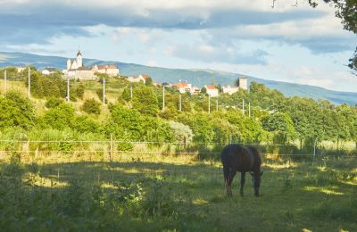 Dwór na sprzedaż Karyntia, Zdjęcie 12/19