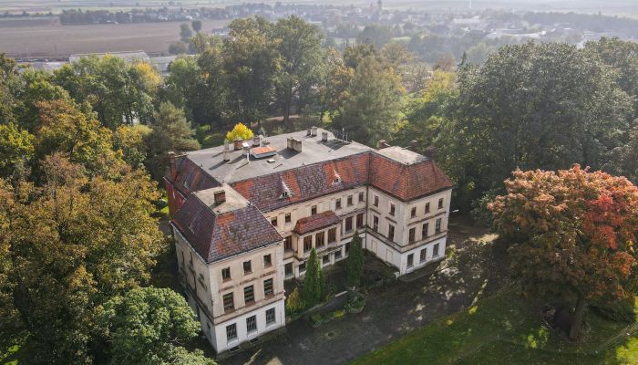 Pałac na sprzedaż Wojnowice, województwo śląskie,  Polska