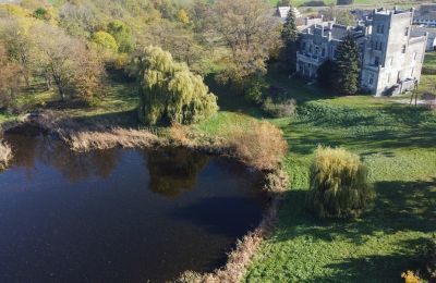 Pałac na sprzedaż Górki Dąbskie, Pałac w Górkach Dąbskich, województwo kujawsko-pomorskie, Działka