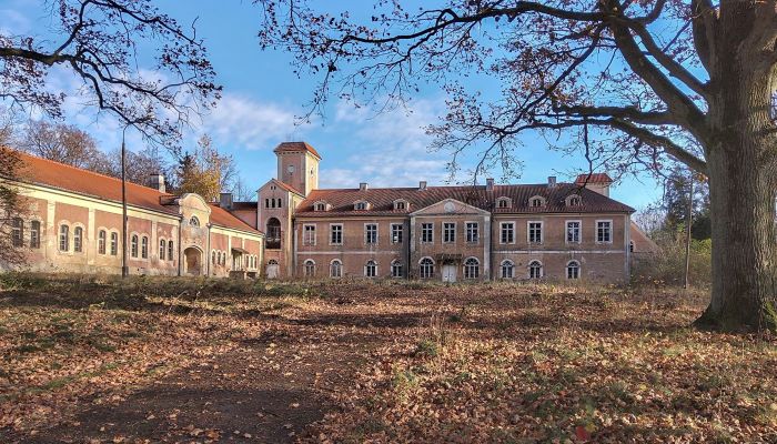 Pałac na sprzedaż Dobrocin, województwo warmińsko-mazurskie,  Polska