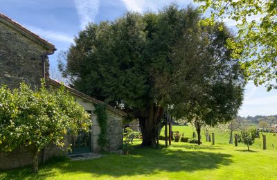 Wiejski dom na sprzedaż Melide, Cabazás, Galicja, Terraza y jardín