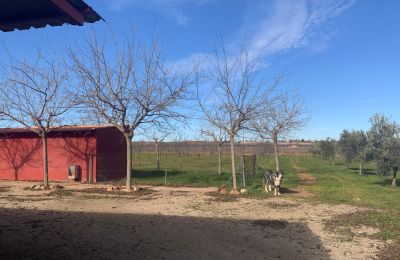 Dom wiejski na sprzedaż Almagro, Almagro, Kastylia-La Mancha, Propiedad con almendros