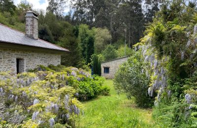 Dom na wsi na sprzedaż Xove, Acevedo, Galicja, Zdjęcie 37/41