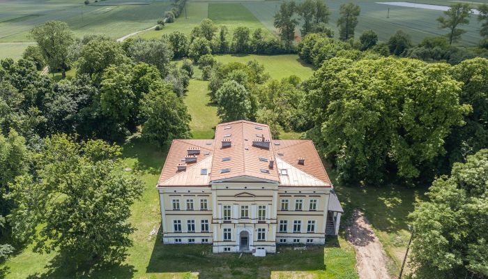 Pałac na sprzedaż Karszew, województwo wielkopolskie,  Polska