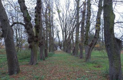 Pałac na sprzedaż Karszew, województwo wielkopolskie, Wjazd